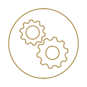 https://assets.biola.edu/4396738754672012438/attachment/5c38fb04cde75d0001207600/icon-gears.png