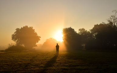 person watching sunset