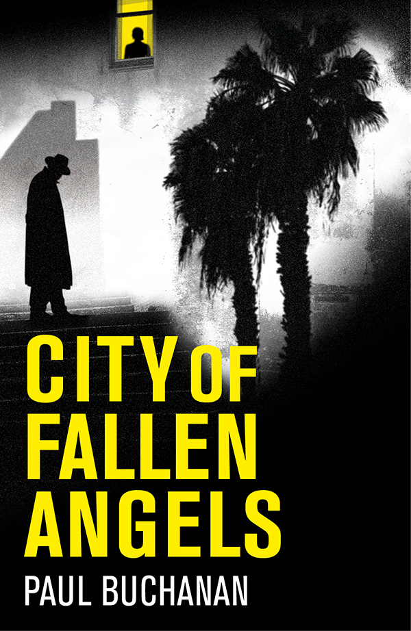 City of Fallen Angels Book Cover