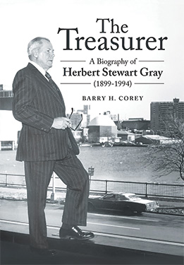 The Treasurer Book Cover
