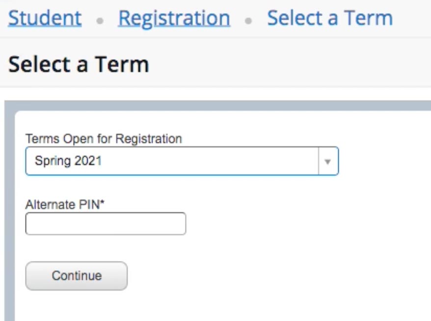 screenshot highlighting the location of where to put your pin number on the registration system