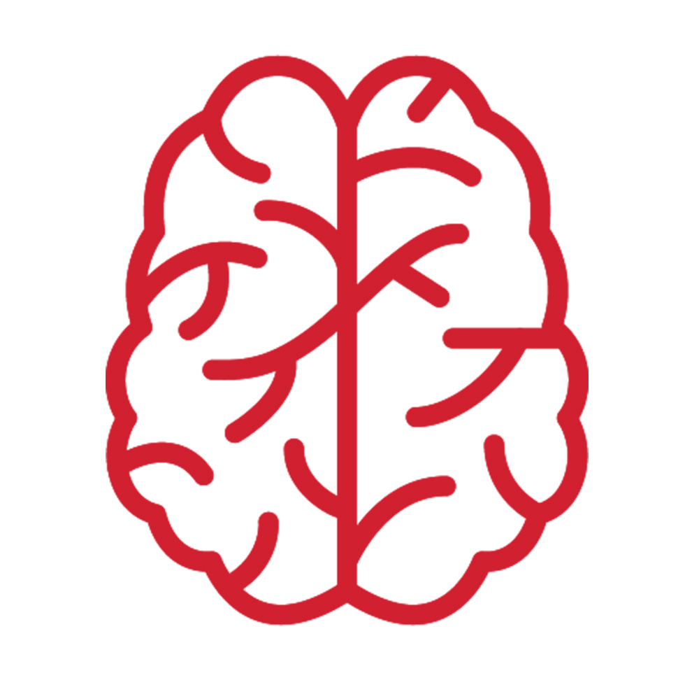 brain icon