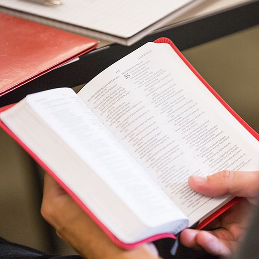 An open Bible being read, with a hand holding the pages. 