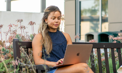 Student working on laptop