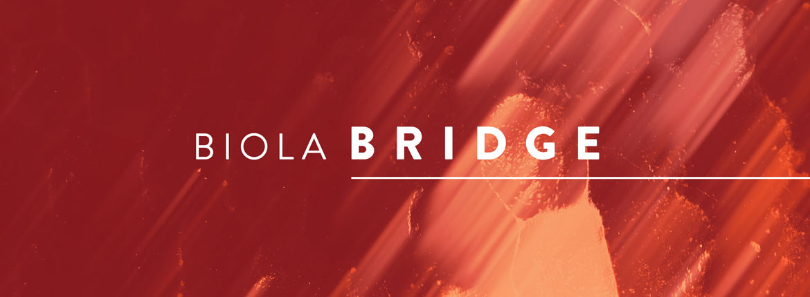 Biola Bridge banner
