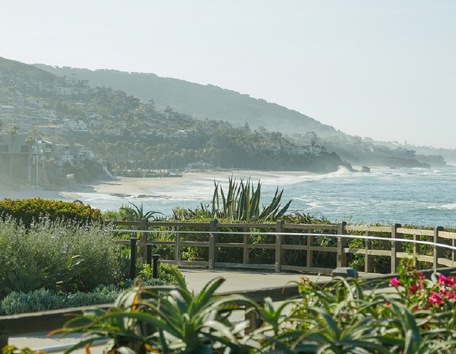 scenic view of a walkway near a beach