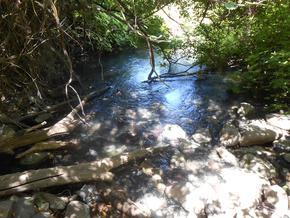 Springs that serve the Jordan River