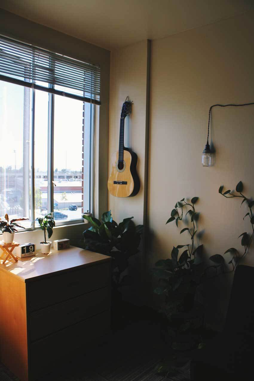 A guitar hangs in the corner of the room near the window, along with an Edison bulb, a large plant on the ground, and a desk with some small potted plants.