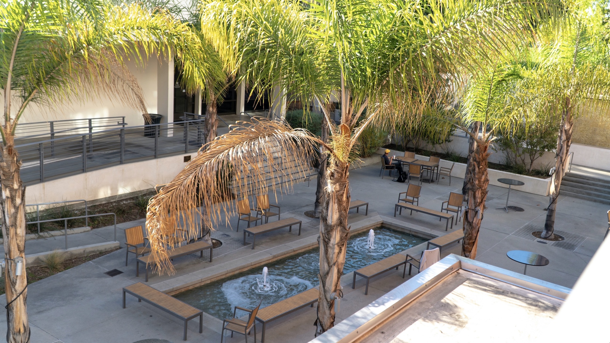 palm trees, pool, and benches outside