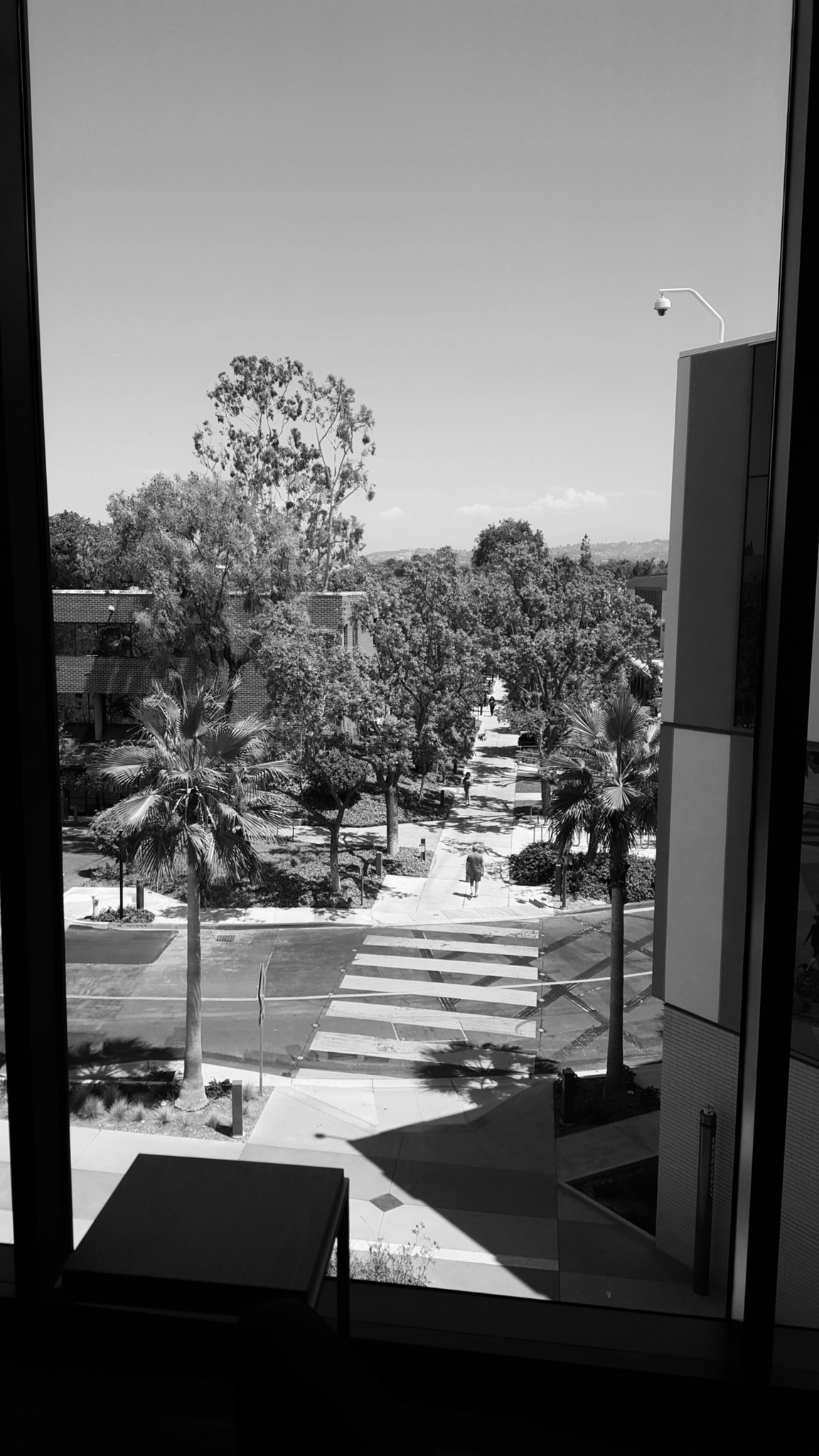 View from top floor of Science Building