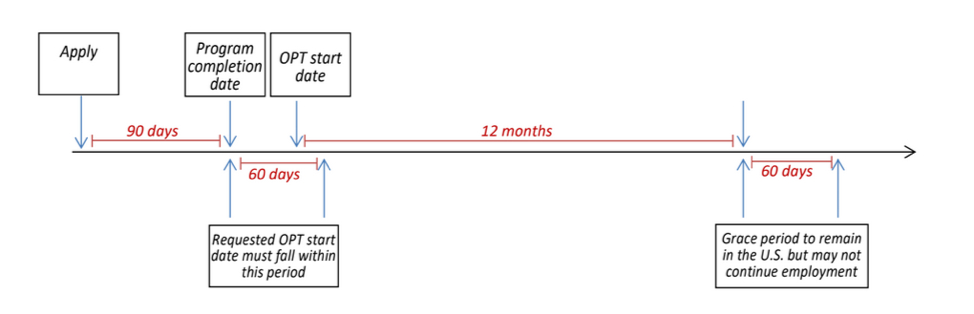 stem opt timeline