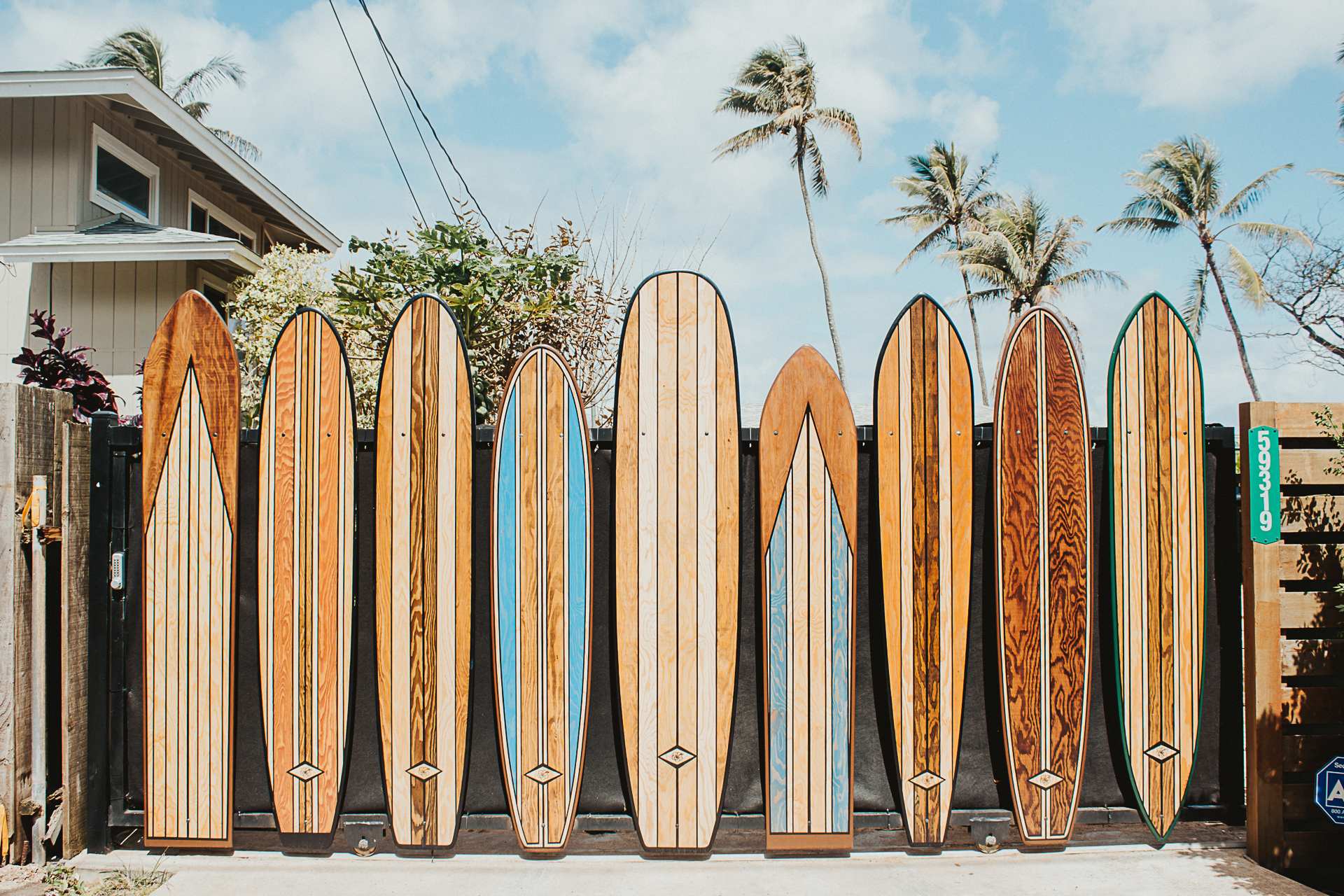 Surfboards in the Sun