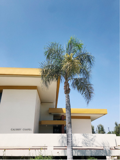 Calvary Chapel at Biola With Palm Tree in Front