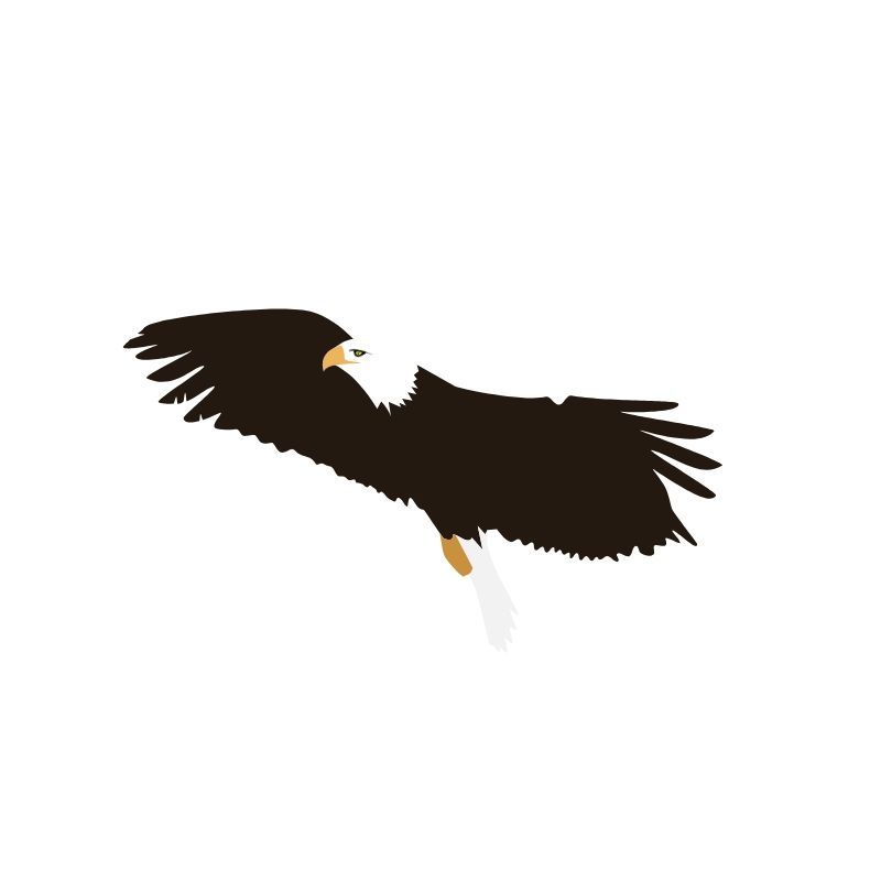 Biola Eagle, Flying Out
