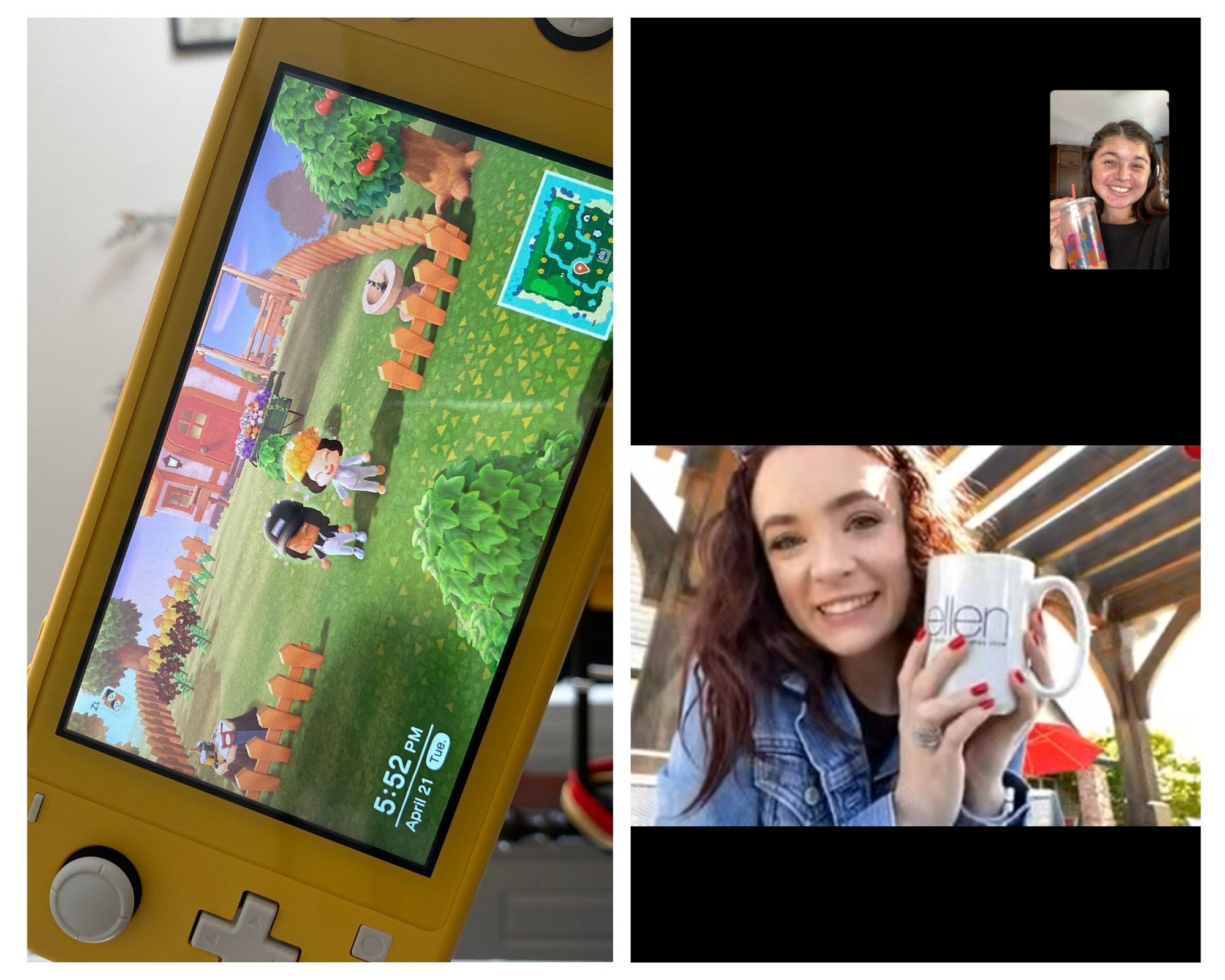 Animal Crossing meet-ups and FaceTime chats