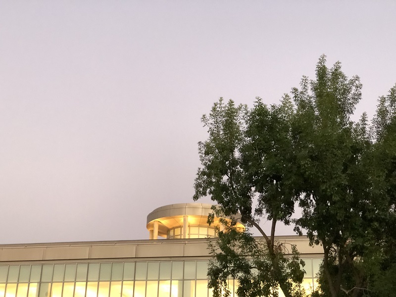 Biola's library building half hidden by a tree, in the evening sunset glow of La Mirada. The sky is a pinky-purple.