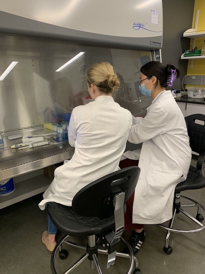 Image shows Tianna Bitz (left) and Grace Oh's (right) first week of nanomedicine/virus research. They would go on with the mentorship of Marisa Arthur, Dr. Galbadage, and Dr. Gunasekera to win first place of the AAAS 2022 competition and other various awards/recognition.