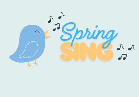Bird chirping music