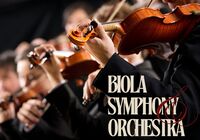 Violins