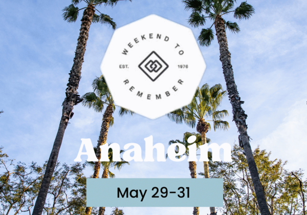 Anaheim Photo Background with FamilyLife Logo Overlay