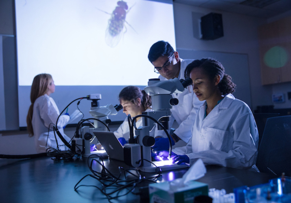 Students in a biology lab