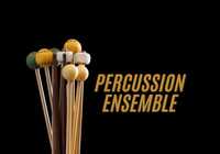 Bunch of percussion mallets on a black background