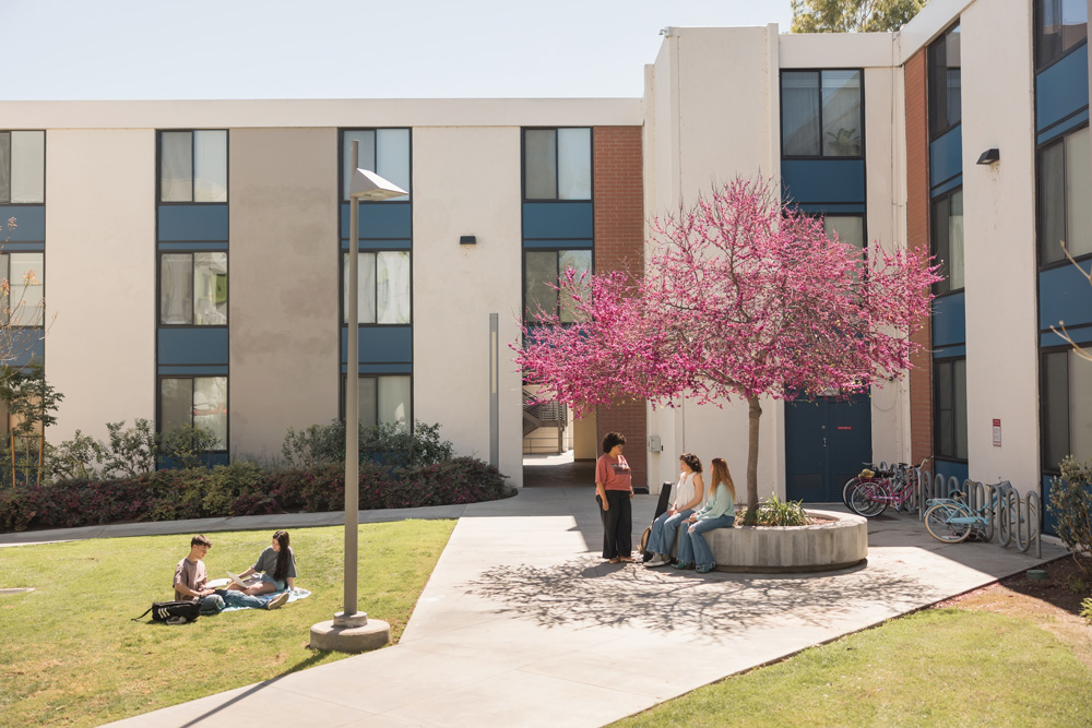 A group of students talking and laughing on the grass in front of residence hall