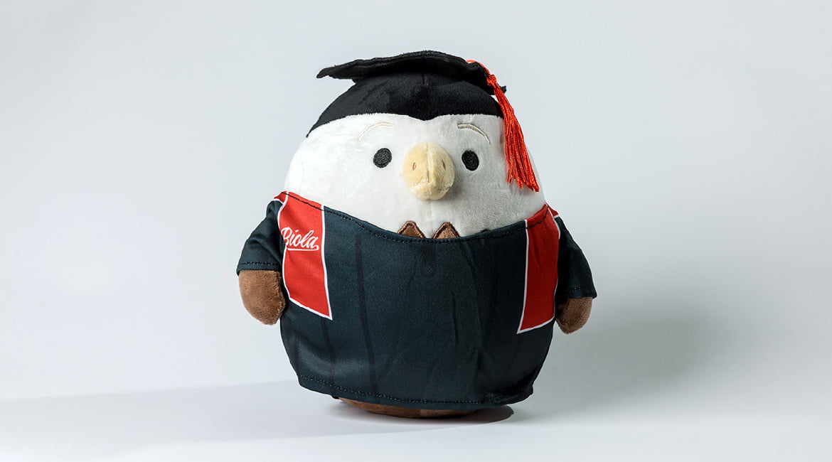 a plush eagle wearing a cap and gown