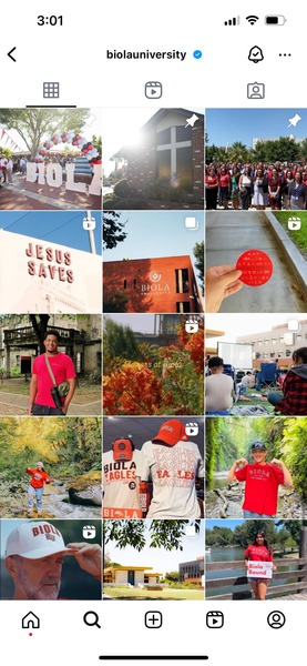 Instagram feed