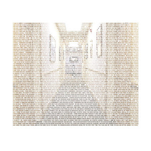 Rebecca DiMarzio (3) B.F.A./Design