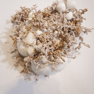Amanda Evans (3) B.F.A./Sculpture