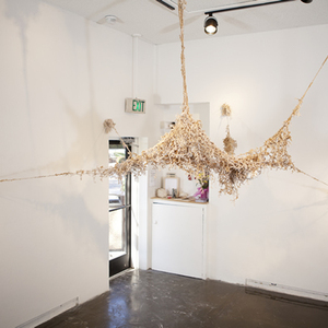 Amanda Evans (4) B.F.A./Sculpture