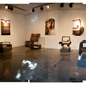 Brittnee Miller (2) B.F.A./Interdisciplinary
