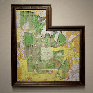 Chelsea Almeter (3) B.F.A./Interdisciplinary