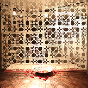 Heather Chester (1) B.F.A./Interdisciplinary