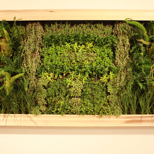 Kate West (2) B.F.A./Sculpture