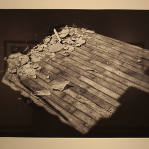Lindsey Swedenski (1) B.F.A./Photo