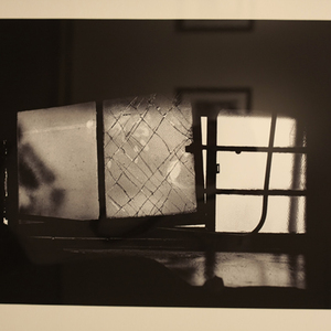 Lindsey Swedenski (2) B.F.A./Photo