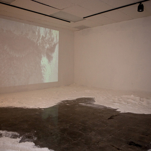 Monica Tzeng (2) B.F.A./Interdisciplinary