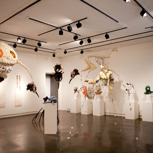 Stephen Rigall (6) B.F.A./Interdisciplinary