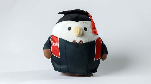 a plush eagle wearing a cap and gown