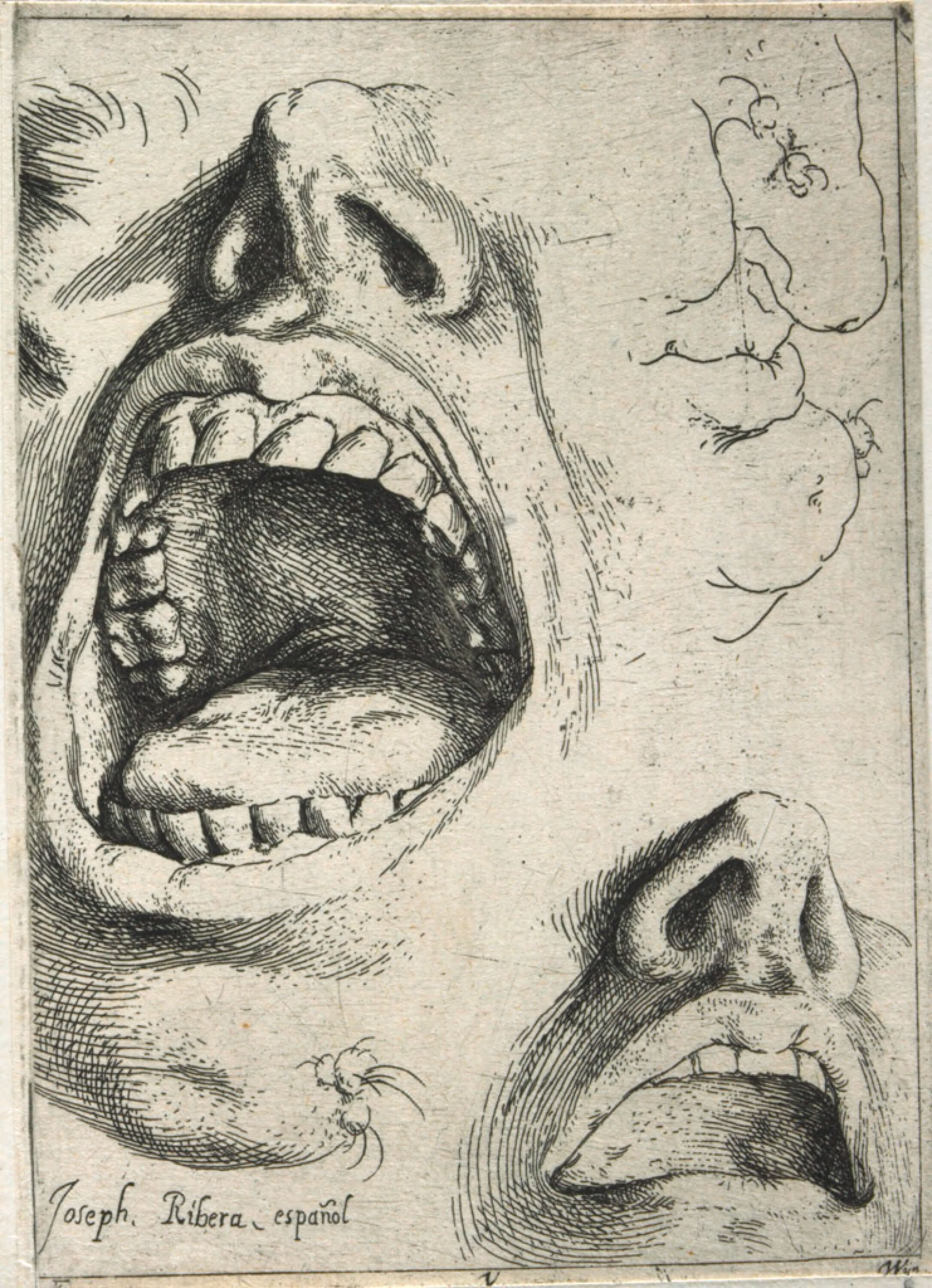 Studies of the Nose and Mouth - engraving